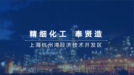 SLTA組織會(huì)員單位考察上?；瘜W(xué)工業(yè)區(qū)奉賢分區(qū)